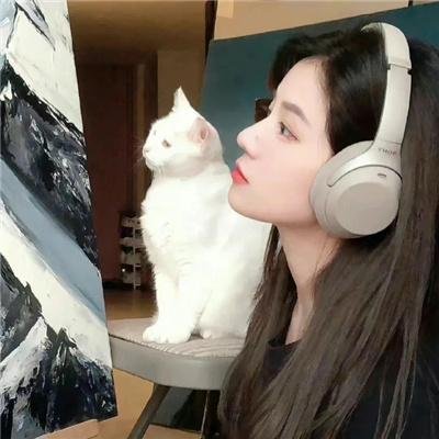 二十周
