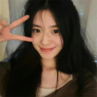 鸽之翼
